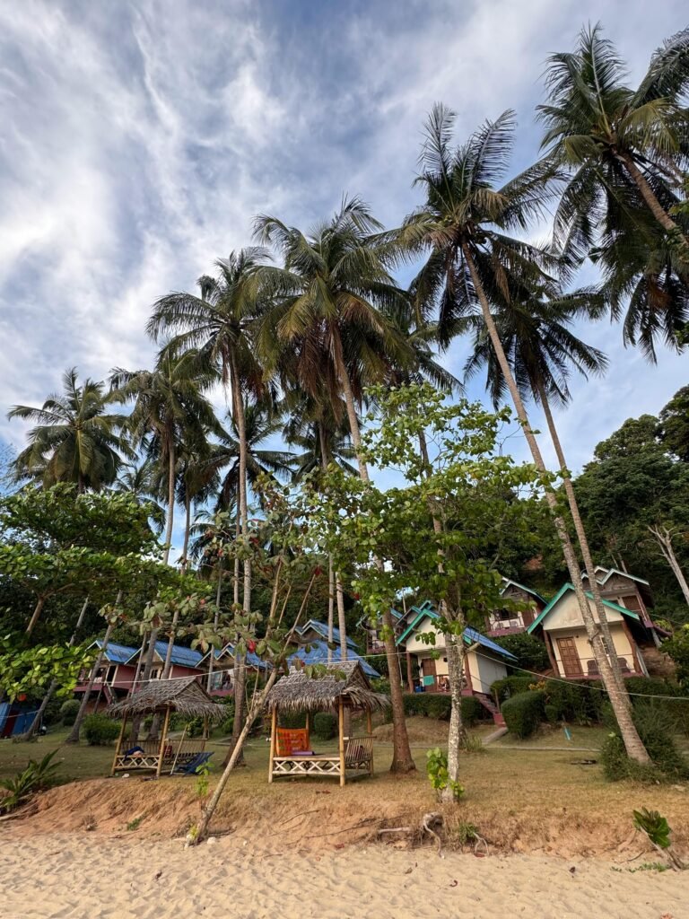 Tropical houses by the beach surrounded by tall palm trees under a cloudy sky.