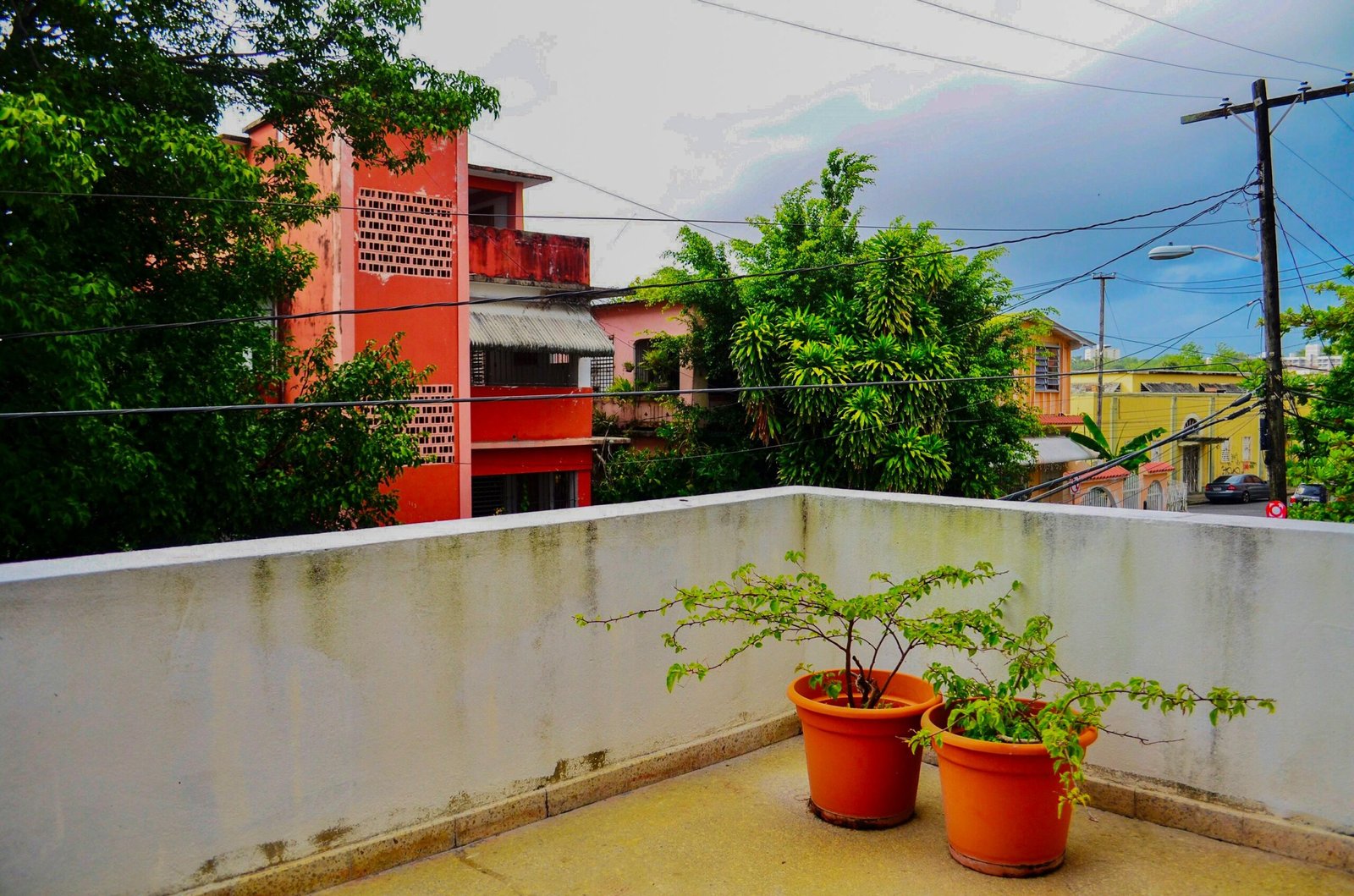 Colorful urban view from a balcony in San Juan, featuring lush greenery and vivid architecture.